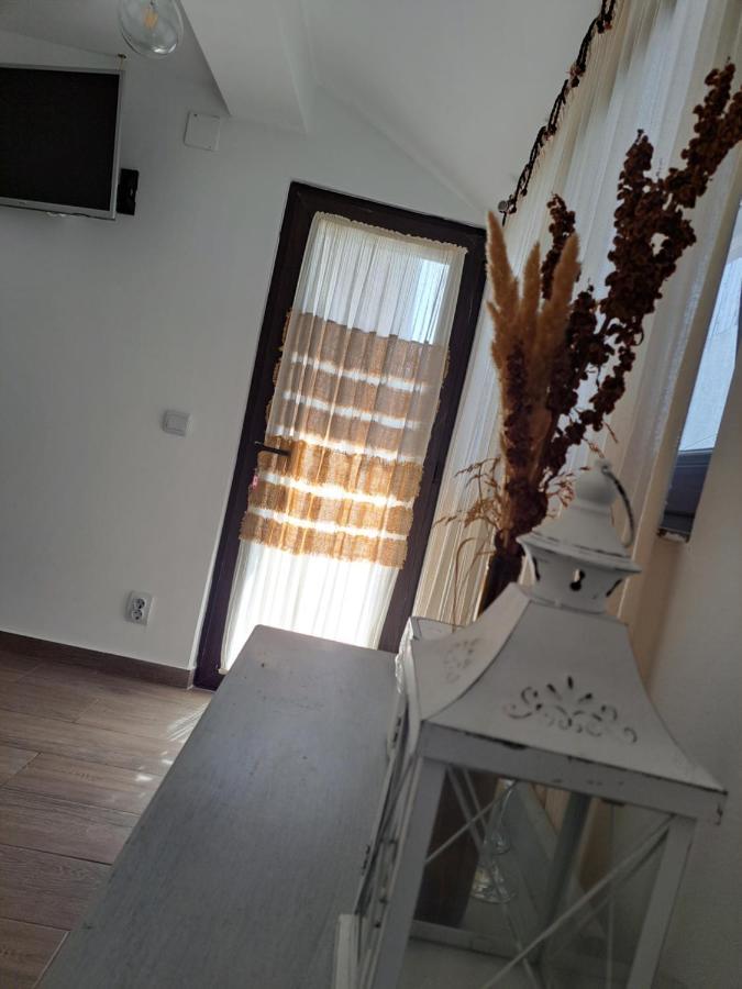 Luna كوستِنيست المظهر الخارجي الصورة