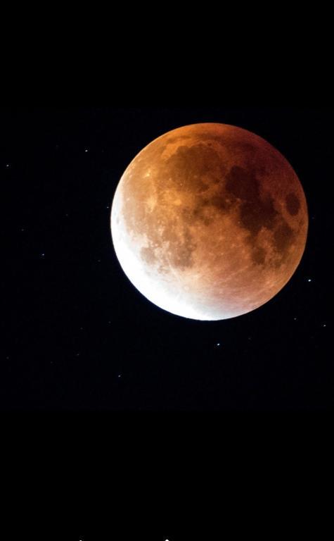 Luna كوستِنيست المظهر الخارجي الصورة