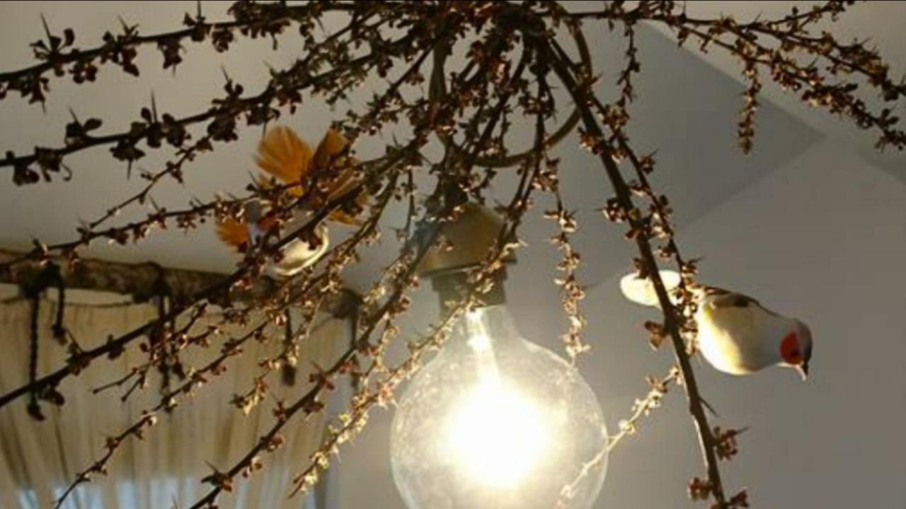 Luna كوستِنيست المظهر الخارجي الصورة